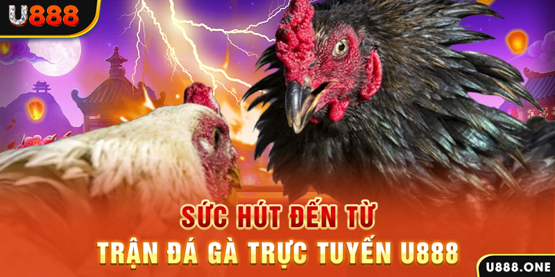 twin68 đá gà trực tiếp c1