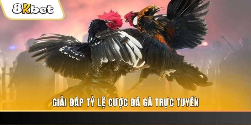 twin68 xổ số đài miền trung