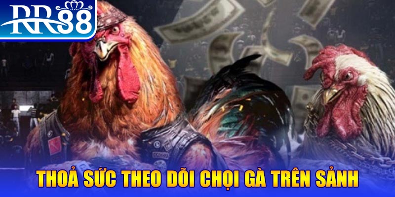 twin68 trực tiếp đá gà c1
